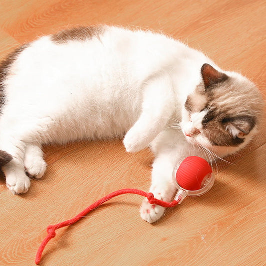 ⏳🔥LIMITED-TIME 50% OFF! ⏰Smart Automatic Rolling Pet Ball