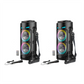 🚚Free Shipping 📢Portable Bluetooth Speaker with Wired Microphones