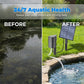 🔥 60% RABATT 🐟 Solcellsdriven dammluftare med inbyggd luftpump ☀️ Syresätt vattnet effektivt – utan elkostnader 🌿