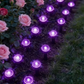 🎁Stor rea! Köp nu och spara mycket pengar🔥Solcellsdrivet LED-gräslampset – automatisk på/av, väderbeständigt och perfekt för gångvägar och trädgårdsdekoration