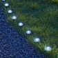 🎁Stor rea! Köp nu och spara mycket pengar🔥Solcellsdrivet LED-gräslampset – automatisk på/av, väderbeständigt och perfekt för gångvägar och trädgårdsdekoration