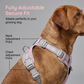 No-pull hundsele 🐕 Bekväm, säker & stoppar dragandet – njut av lugna promenader ✨