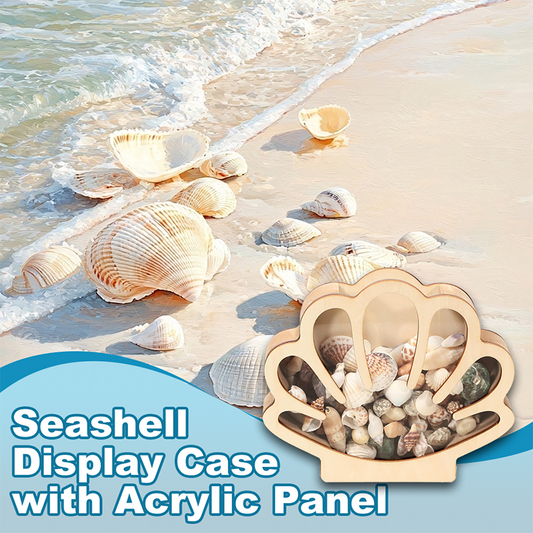 ⏳🔥LIMITED-TIME 50% OFF! ⏰Seashell Display Case with Acrylic Panel – Transparent & dustproof – Perfect for collections, crafts or souvenirs – elegant tabletop or shelf display 🏖️🌟