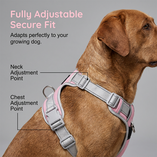 ⏳🔥LIMITED-TIME 50% OFF! ⏰Escape-Proof Dog Harness with Top Handle – Adjustable No-Pull Vest with 3M Reflective Straps